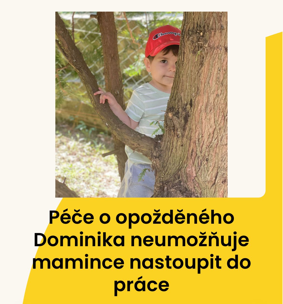 Obrázek WhatsApp, 2025-08-11 v 20.35.02_f76c79c6